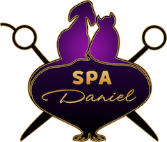 Spa Daniel